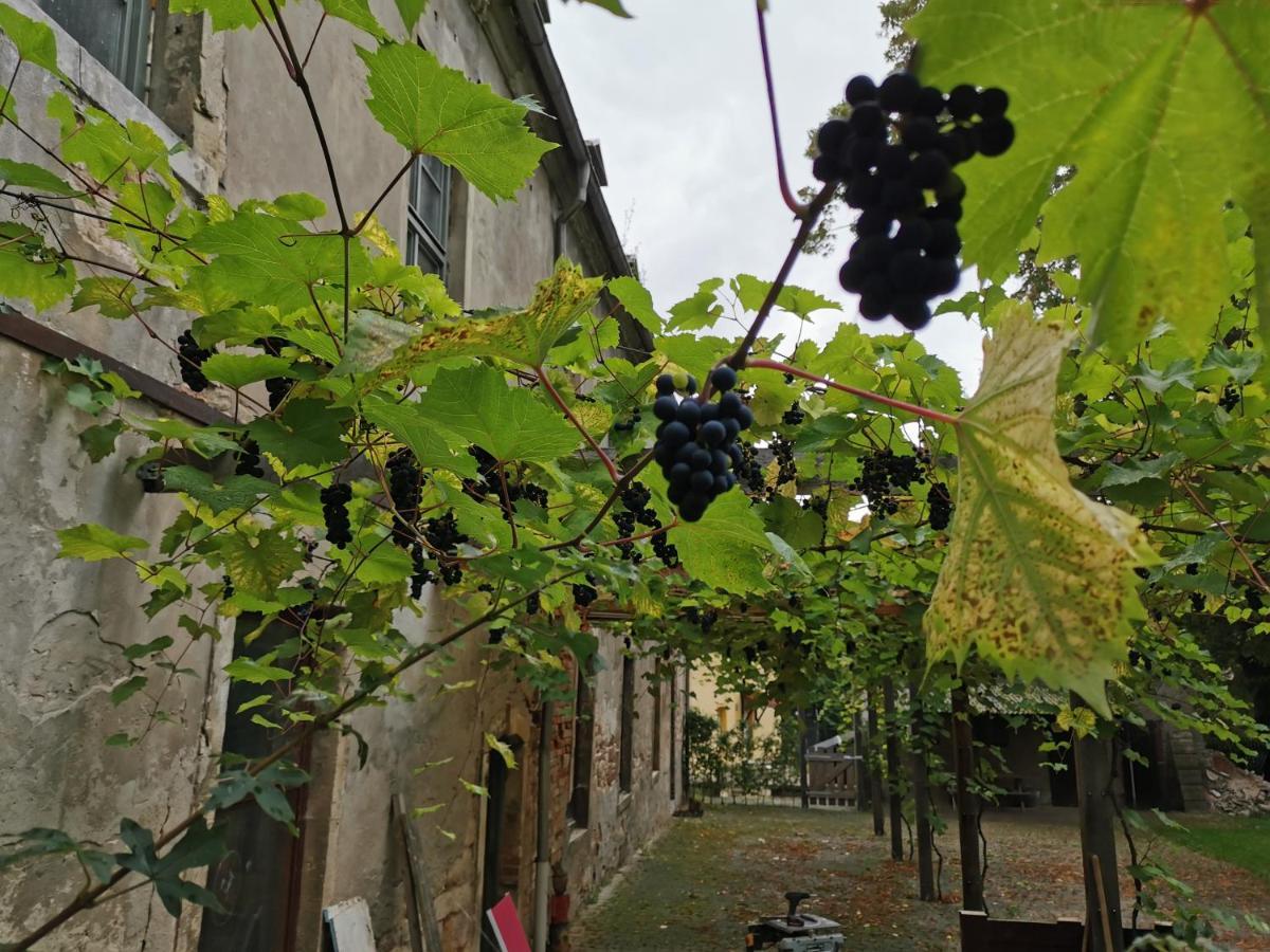 Schloss Groebitz Grobitz Zewnętrze zdjęcie